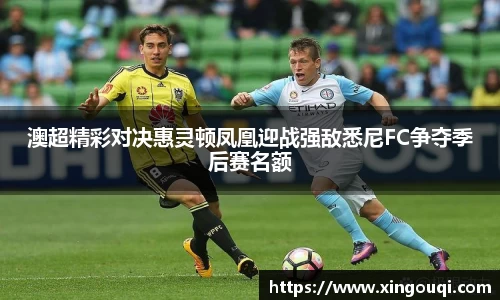 澳超精彩对决惠灵顿凤凰迎战强敌悉尼FC争夺季后赛名额